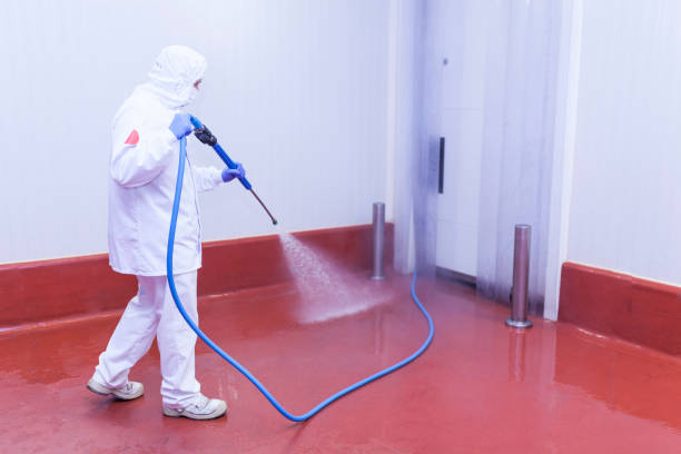 Best Gutter Cleaning  in Lakeport, CA